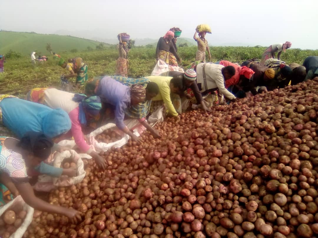 Sécurité alimentaire et moyens d'existence (SAME)